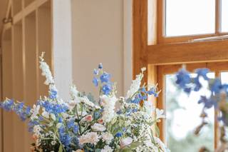 Flowers Evolution - 9
