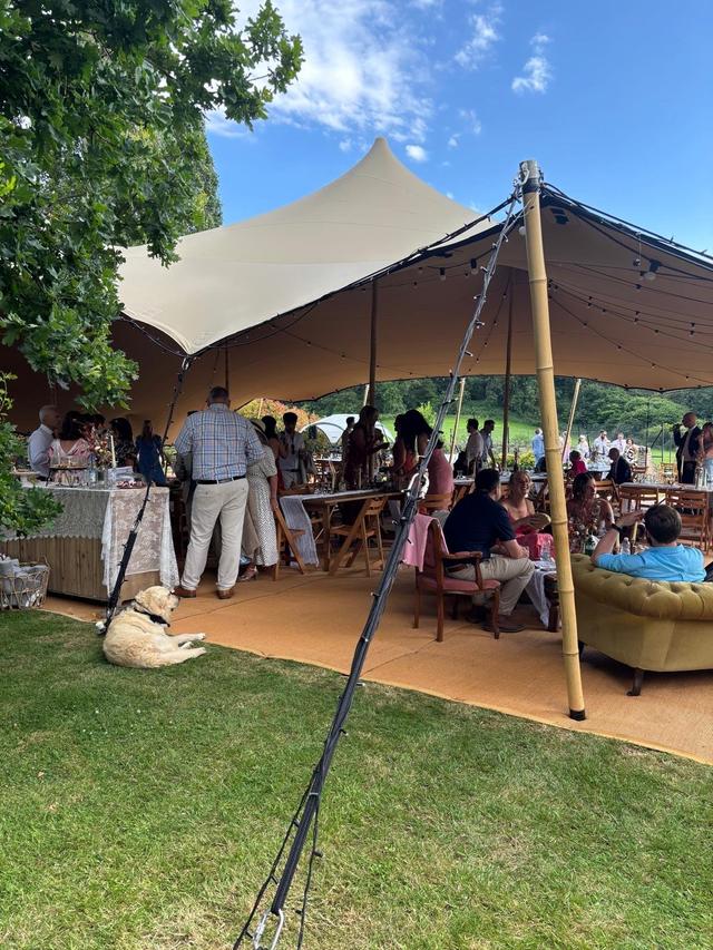 Prickly Pear Stretch Tents - 2
