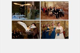 Barn Owl Ring Bearer - 12