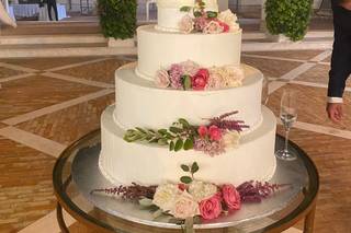 Almar Giardino di Costanza - 6