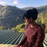 LuxuriousPurpleFlowers69470