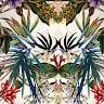 Luxuriousyellowflowers60413