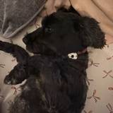 Suzie
