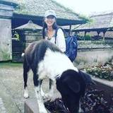 Jessie
