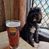 ExpensiveGoldDiamonds44266