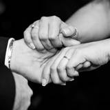 LuxuriousPurpleFlowers60735