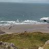 Ellie