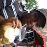 Yemi