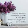 SunnyBrownStationery736