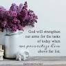 SunnyBrownStationery736
