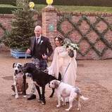 SunnyRedConfetti83422