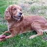 Sophie