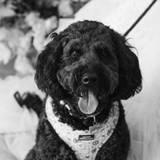 Chloe