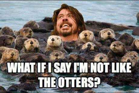 What if I say I'm not like the otters?