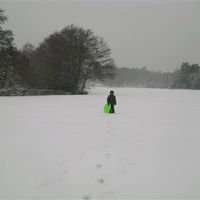 Re: RERe: O/T but share your your snow pics!