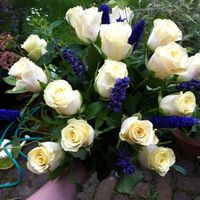 Bouquet trial *flash*