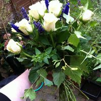 Bouquet trial *flash*