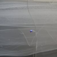 Veil for sale from on old married *Now with pics*