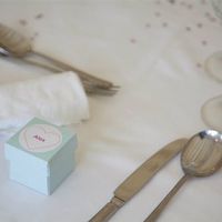 A few (well ok quite a lot!) of pictures **flash** from my wedding 3rd July 2011