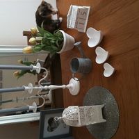 Re: my wedding so far... *FLASH*