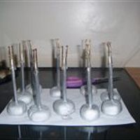 budget wedding what do u think. pics