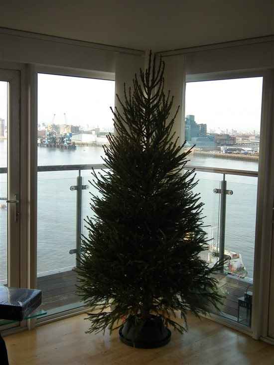 Re: ITS CHRISSSSSSSSSSSTMAS!! *Flash your festivities*
