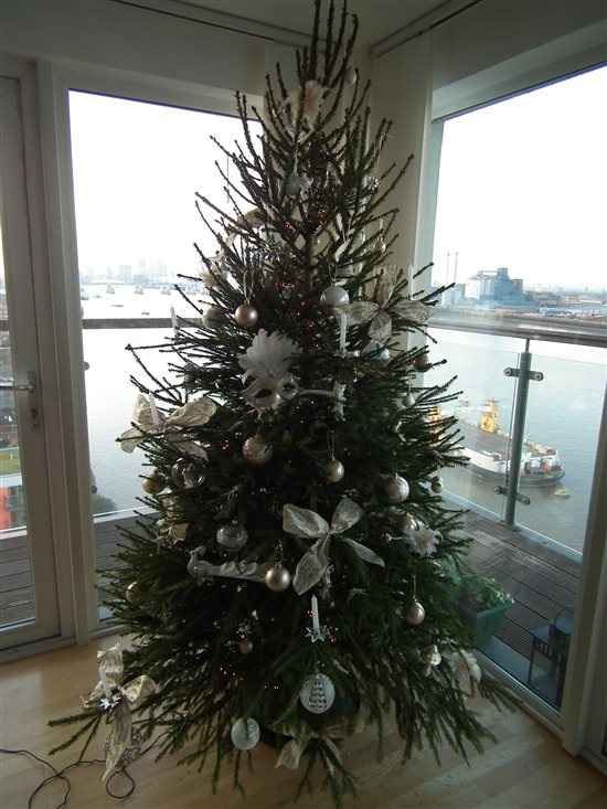 Re: ITS CHRISSSSSSSSSSSTMAS!! *Flash your festivities*
