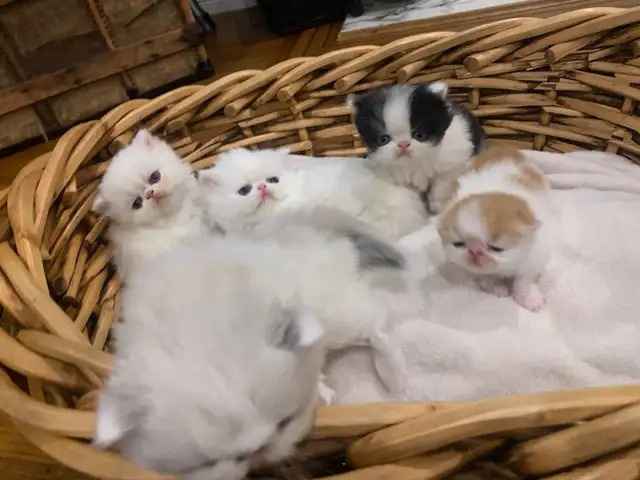 Is this a good deal?! - 1