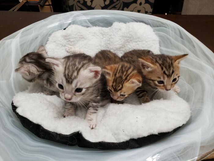 Is this a good deal?! - 4