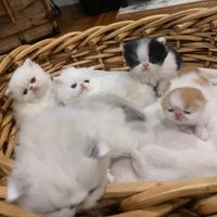 Is this a good deal?! - 1