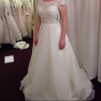 Re: Veils help with dress pics