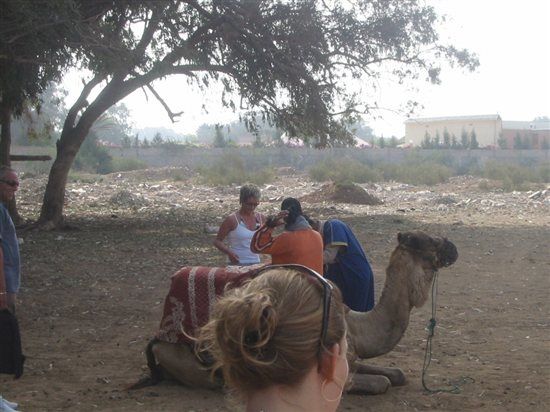 Re: Honeymon in Morocco??