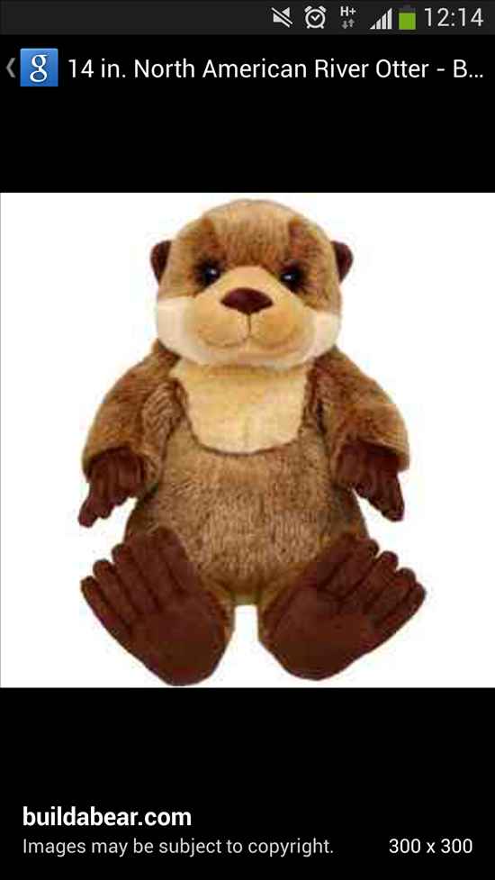 Re: Guess The Otter!