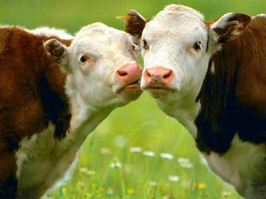 Re: Post me a picture of you and your fella