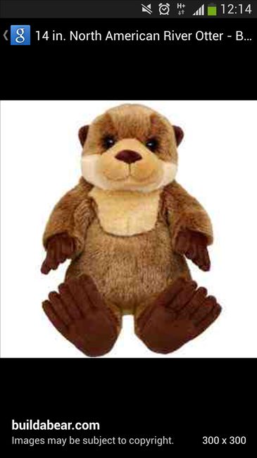 Re: Guess The Otter!