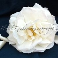 Re: Welsh Theme....HELP!!!