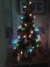 Re: ITS CHRISSSSSSSSSSSTMAS!! *Flash your festivities*