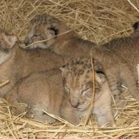 Re: Something to cheer up your Friday