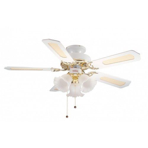 Re: ceiling fan