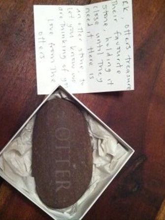 Thank you otters *flash*