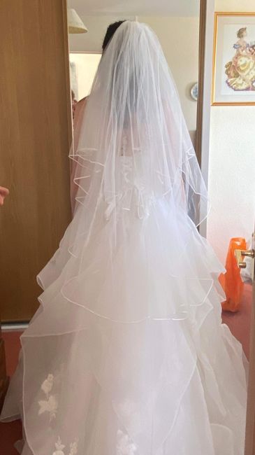 Massive crisis of confidence in my wedding dress 3