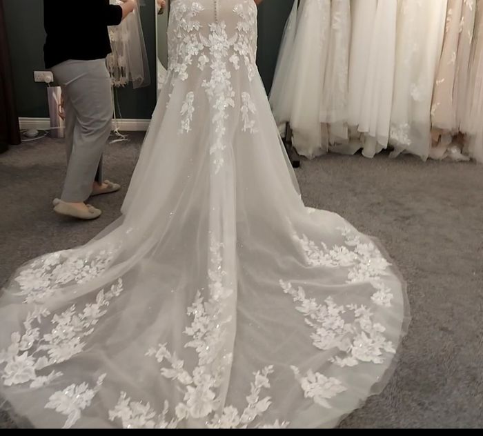 Help!! Veil or No Veil??? 2