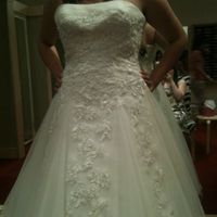 Re: Newbie - Opinions on dresses