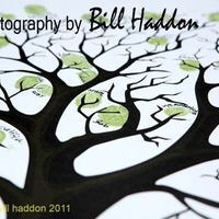 Re: Tree (finger print) guest book