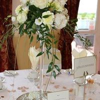 Large Martini vases - 60cm