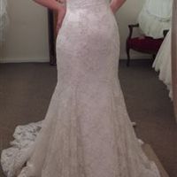 Re: FUN POST! What made you choose your dress?