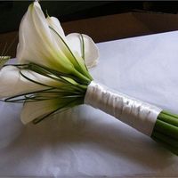 Re: New Year Day flash for all brides to be!!!!