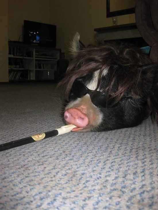 Re: A piggy post