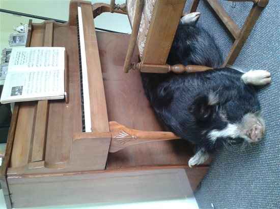 Re: Random...teapigs