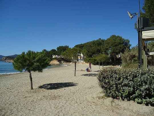 Re: Planning a wedding in Ibiza